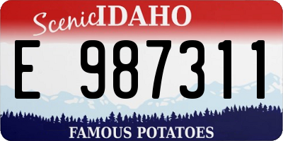 ID license plate E987311