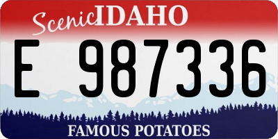 ID license plate E987336