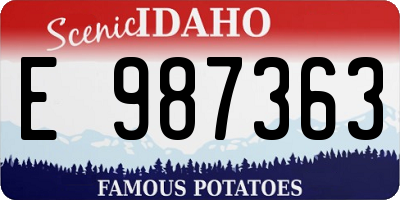 ID license plate E987363