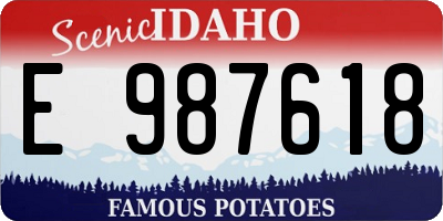 ID license plate E987618