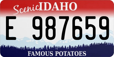 ID license plate E987659