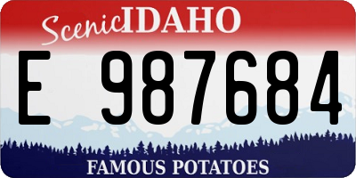 ID license plate E987684