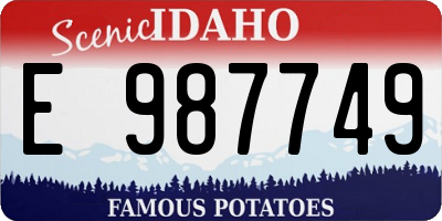 ID license plate E987749