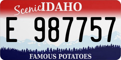 ID license plate E987757