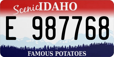 ID license plate E987768