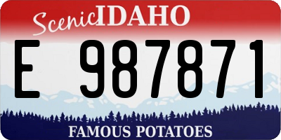 ID license plate E987871