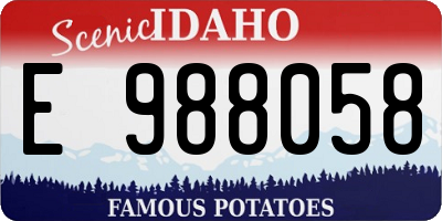 ID license plate E988058