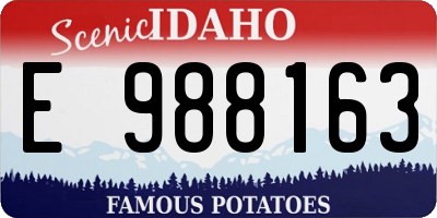 ID license plate E988163