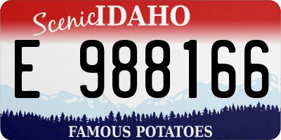 ID license plate E988166