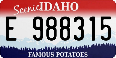 ID license plate E988315