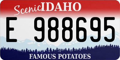 ID license plate E988695