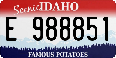 ID license plate E988851