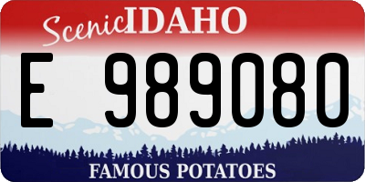 ID license plate E989080