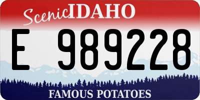 ID license plate E989228