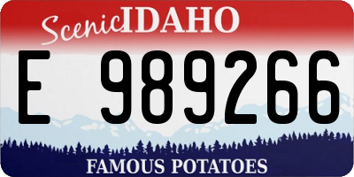 ID license plate E989266