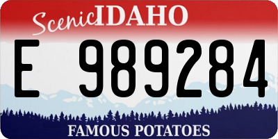 ID license plate E989284