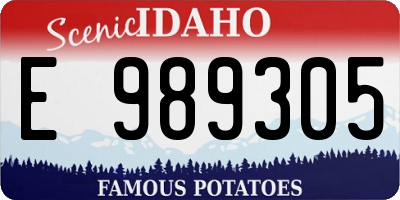 ID license plate E989305