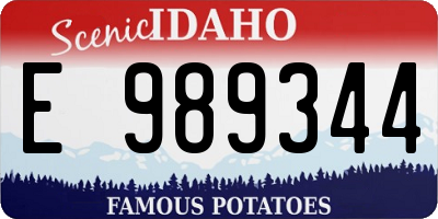 ID license plate E989344