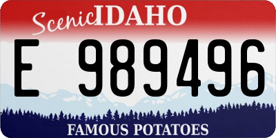 ID license plate E989496