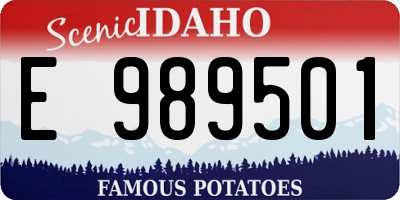 ID license plate E989501