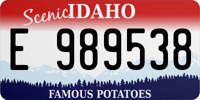 ID license plate E989538