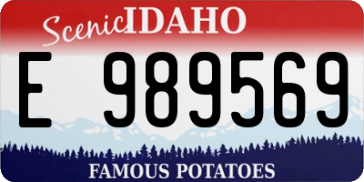 ID license plate E989569