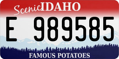ID license plate E989585