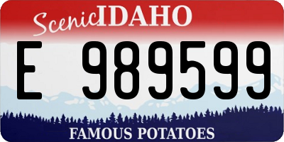 ID license plate E989599