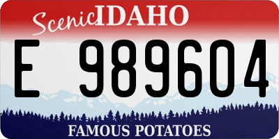 ID license plate E989604