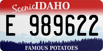ID license plate E989622