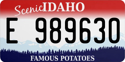 ID license plate E989630