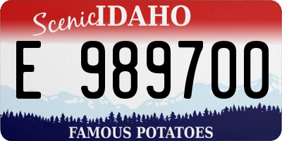 ID license plate E989700