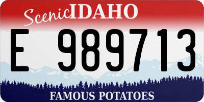 ID license plate E989713