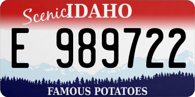 ID license plate E989722