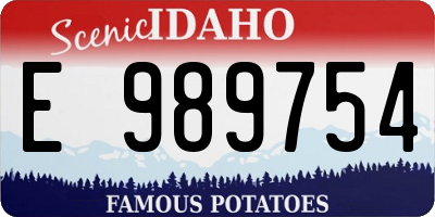 ID license plate E989754