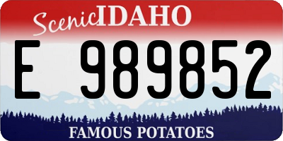 ID license plate E989852