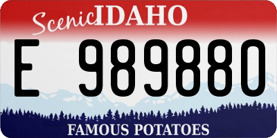ID license plate E989880