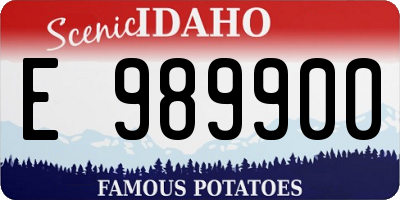 ID license plate E989900