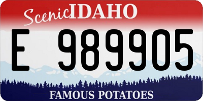 ID license plate E989905