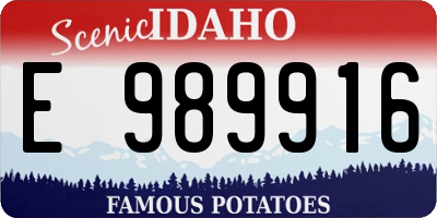 ID license plate E989916