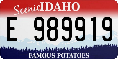 ID license plate E989919