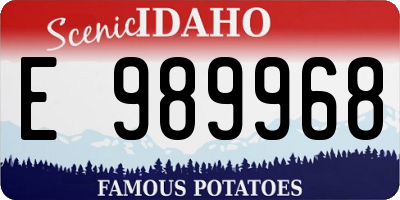 ID license plate E989968