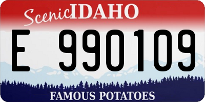 ID license plate E990109