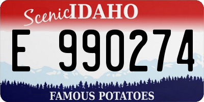 ID license plate E990274