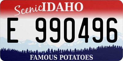 ID license plate E990496