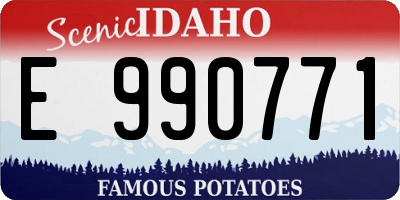 ID license plate E990771