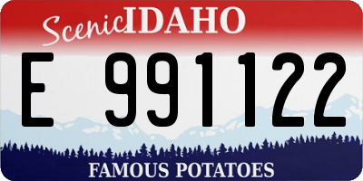ID license plate E991122