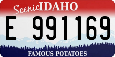 ID license plate E991169