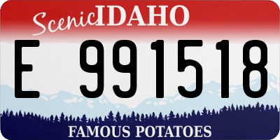 ID license plate E991518