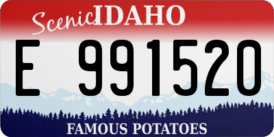 ID license plate E991520
